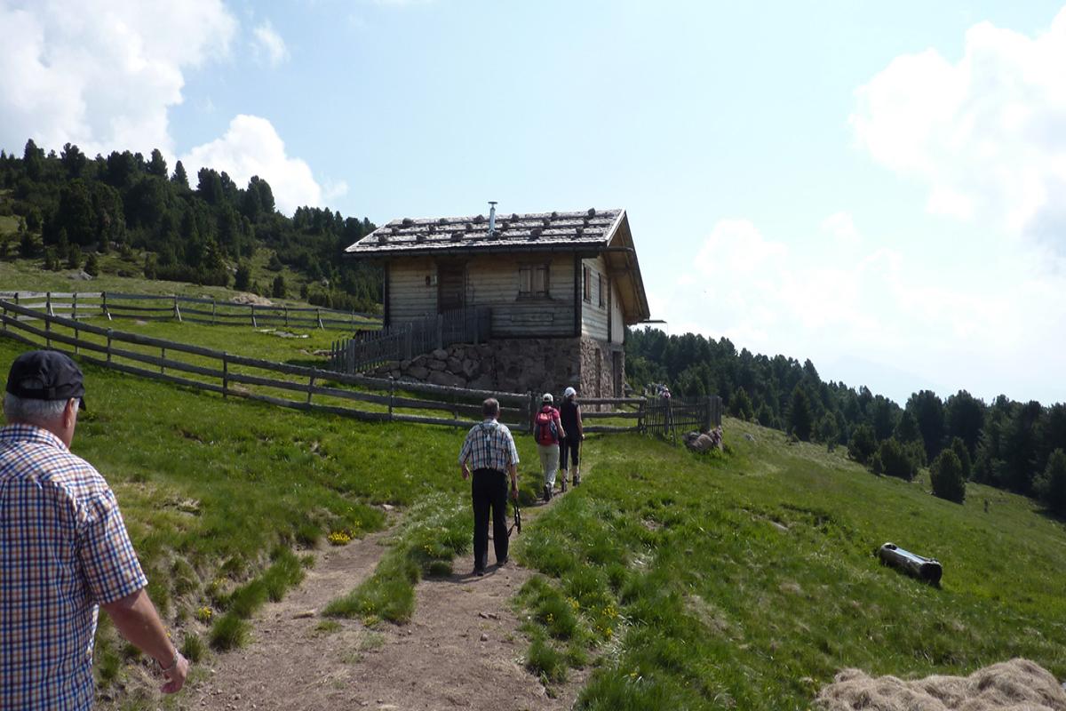 Platzer Alm 11.06.2015